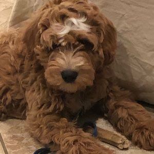 Meet your Posher, Heather